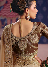 Golden beige zari tissue embroidered saree