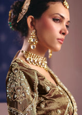 Golden beige zari tissue embroidered saree