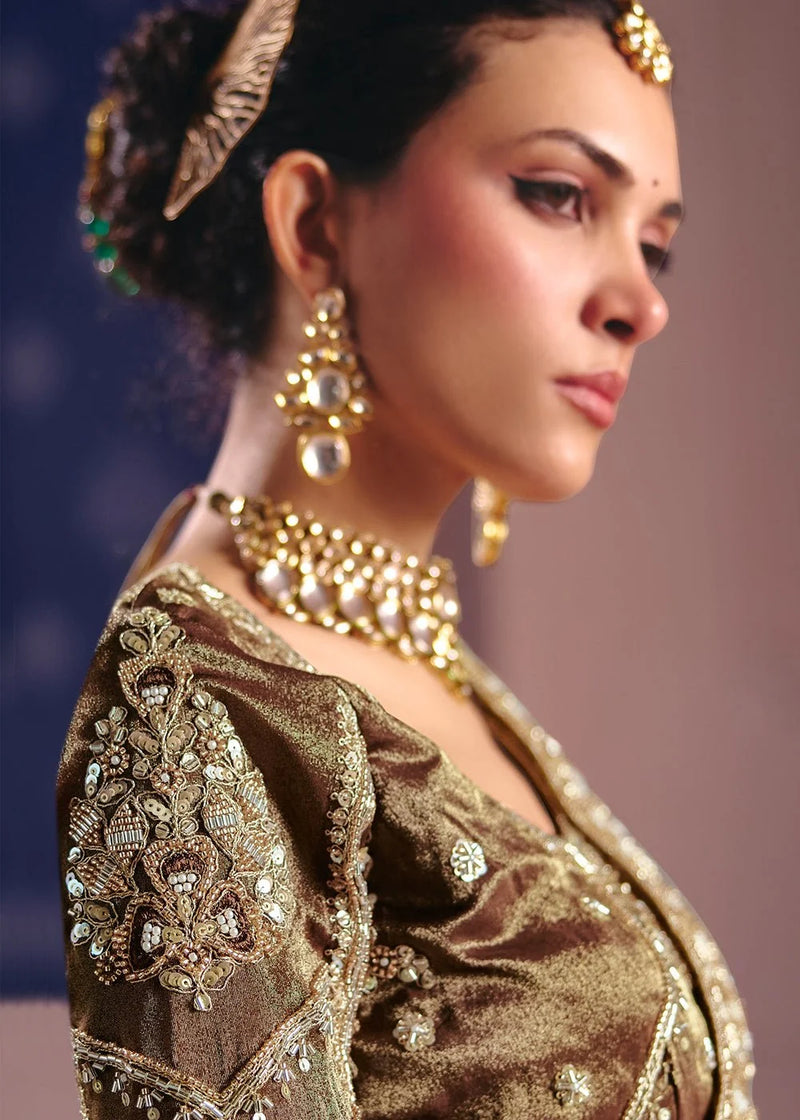 Golden beige zari tissue embroidered saree