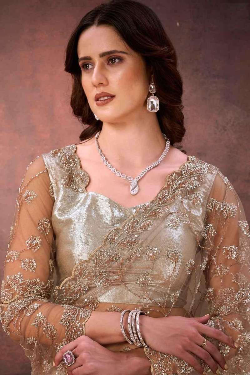 Champagne gold foil satin net saree with gold embroidery, sheer sleeves, and jewelry