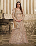 Nayoora Luxe Metallic Champagne Gold Foil Satin Ready - to - Wear Lehenga Saree - Nayoora
