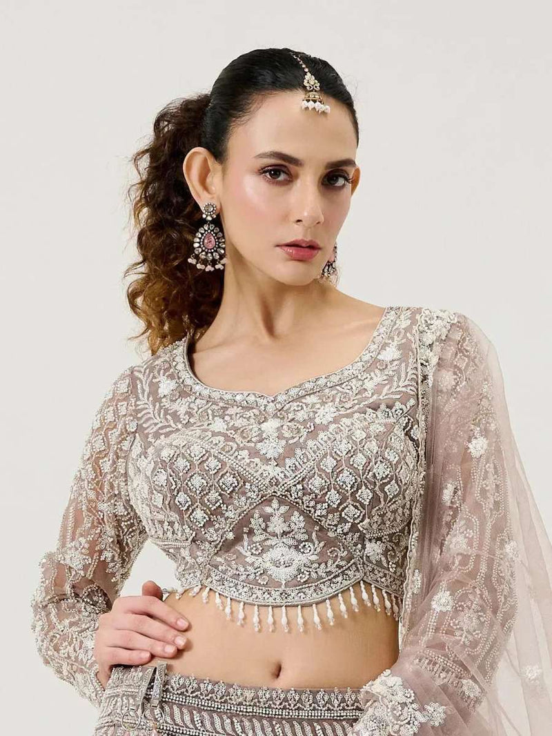 Embroidered blouse with scalloped neckline, long sleeves, and sheer net dupatta