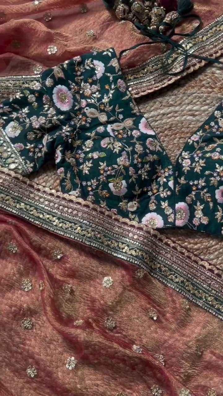 Nayoora Peach Twill Net Saree – Heavy Embroidered Border & Contrast Blouse - Nayoora