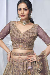 Embroidered mauve net blouse with gold beadwork, deep V neckline and elbow-length sleeves