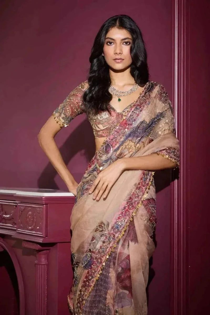 Beige saree with mirror and sequin work, ornate border and pallu drape detail