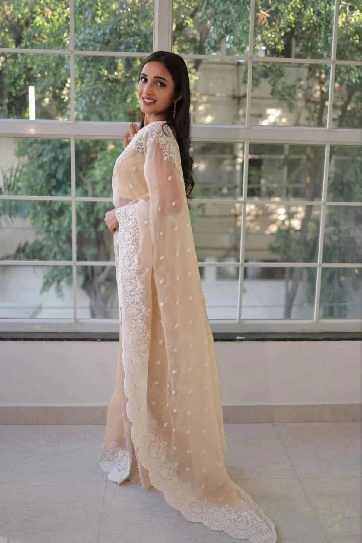 Nude Beige Georgette Saree – White Thread & Cutwork Embroidery - Nayoora