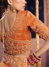 Orange embroidered tissue saree