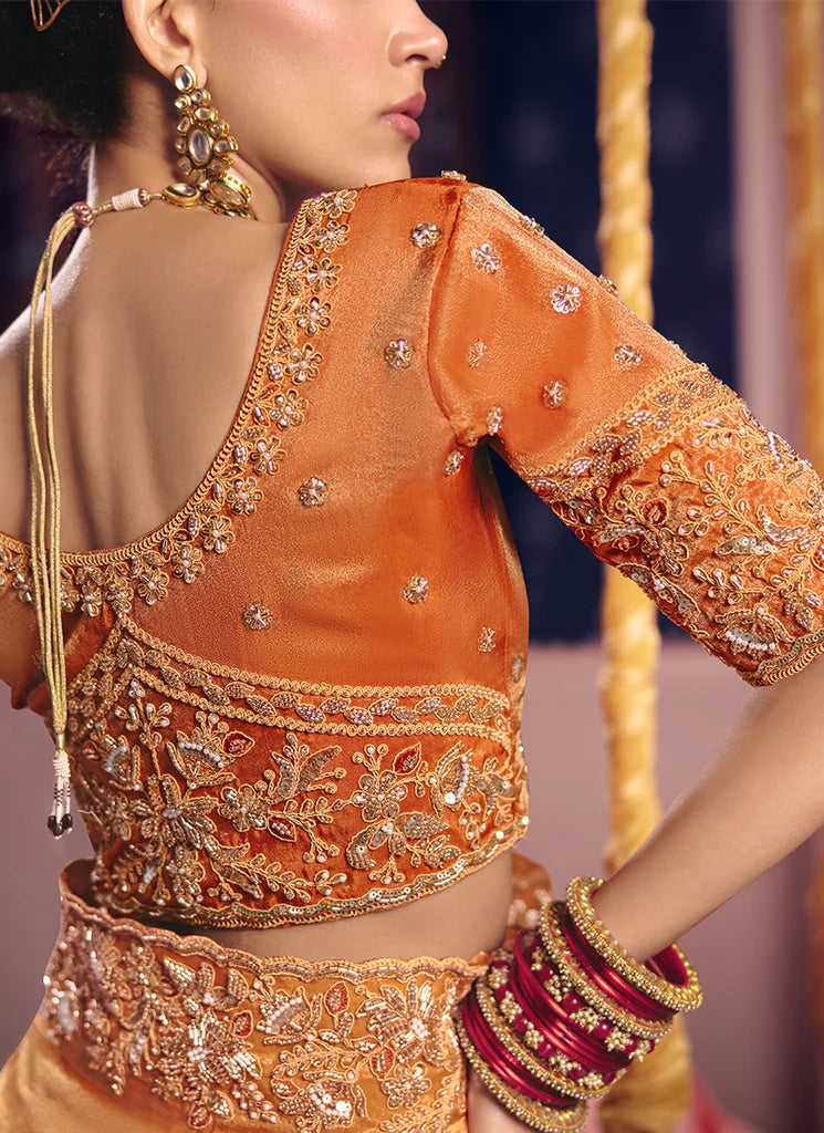 Nayoora Sunehri Tarang Embroidered Tissue Saree