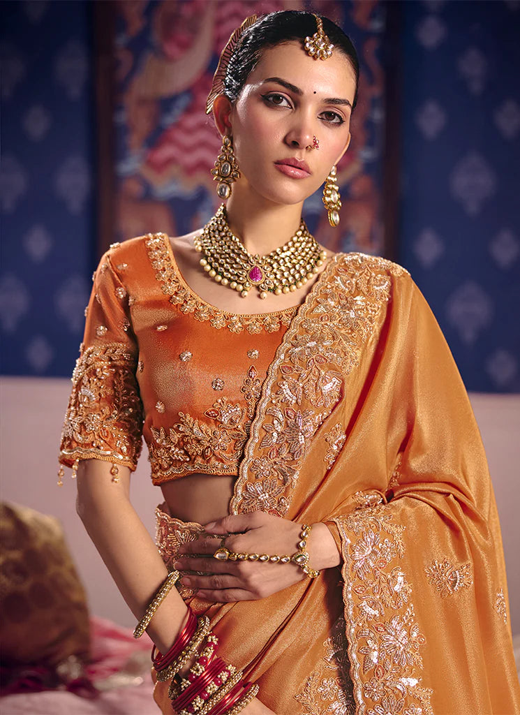 Nayoora Sunehri Tarang Embroidered Tissue Saree
