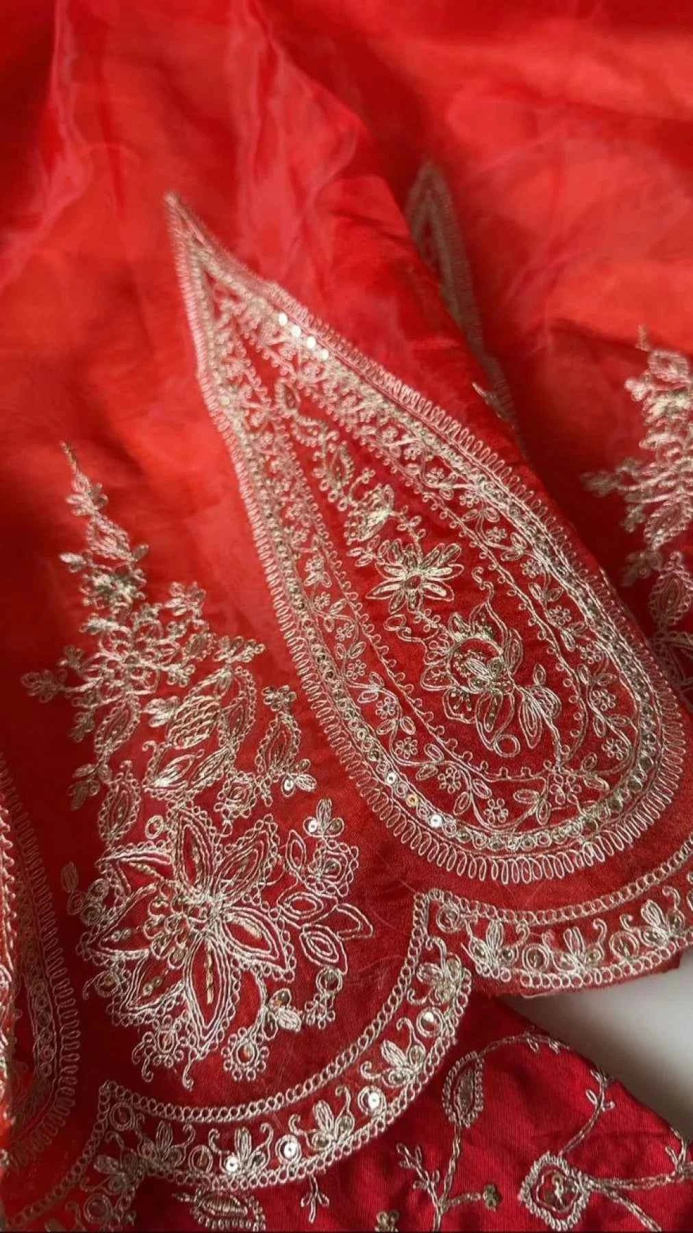 Red Organza Saree – Heavy Sequin & Cutwork Embroidery - Nayoora