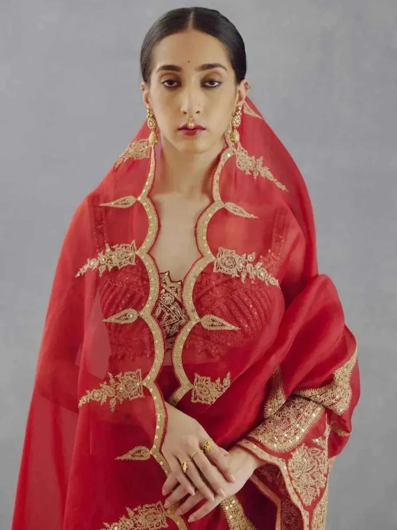 Red organza saree with gold embroidery and cutwork motifs, draped pallu