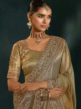 Gold Banarasi silk saree blouse with embroidered neckline and matching border